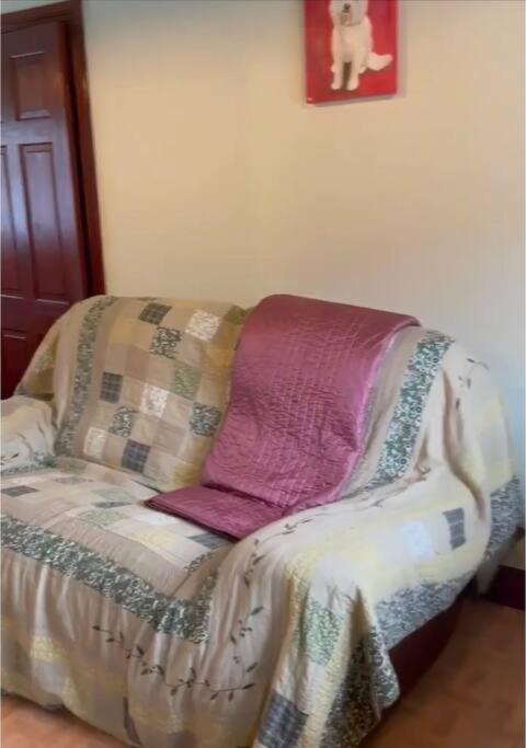 Annie Dee'S Guest Accommodation Ballygowan 外观 照片