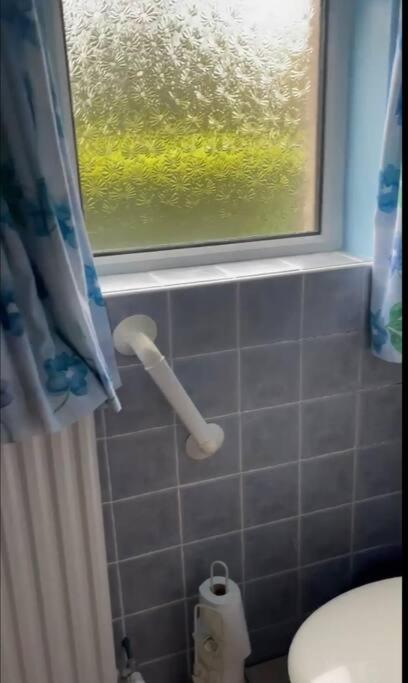 Annie Dee'S Guest Accommodation Ballygowan 外观 照片